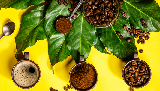 Flat lay of coffee beans, ground coffee, and fresh green leaves on a bright yellow background symbolizing sustainable and natural coffee production.