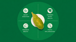 The Health Benefits of Cardamom Coffee: What Tradition and Science Agree On